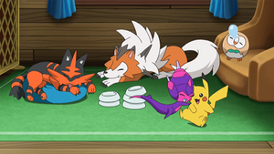 SL068 - Matoufeu, Lougaroc et Brindibou de Sacha.png