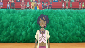 SL134 - Bulbizarre d'un Dresseur.png