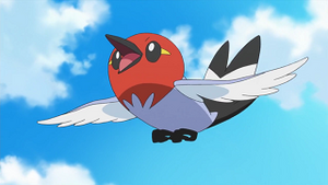 XY012 - Passerouge de Sacha.png