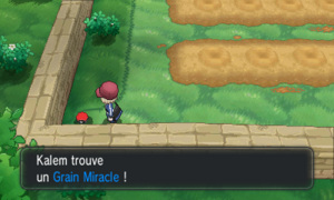 Champ de Baies Grain Miracle XY.png