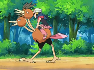 Dodrio d'Aurore.png