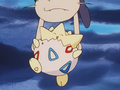 Togepi (d'Ondine)