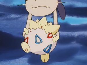 EP223 - Togepi d'Ondine.png