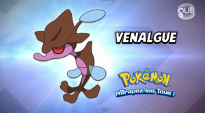 FR - QECP XY24.png