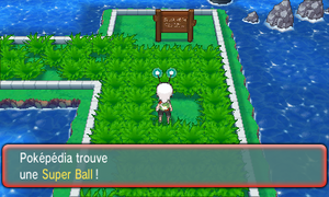 Route 110 Super Ball ROSA.png