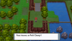Route 212 Petit Champi DEPS.png