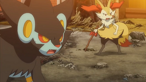 XY132 - Luxray de Lem et Roussil de Serena.png