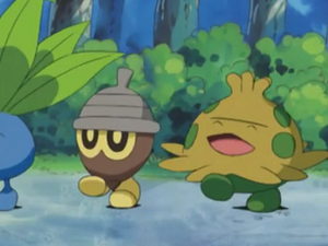 AG063 - Grainipiot et Balignon.png