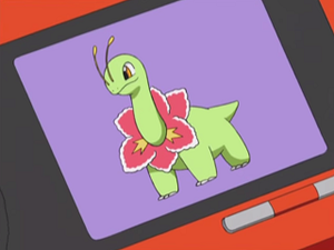 AG106 - Méganium Pokédex.png