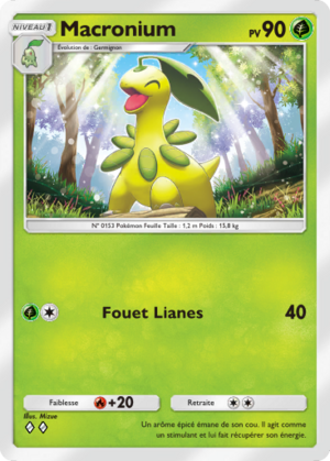 Carte Sagesse entre Ciel et Mer 009.png
