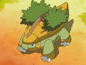 DP134 - Boskara de Sacha.png