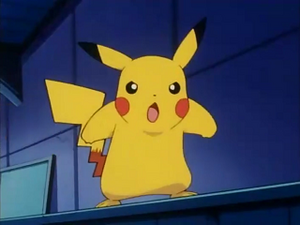 EP158 - Pikachu de Sacha.png