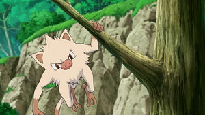 LV107 - Férosinge de Goh.png