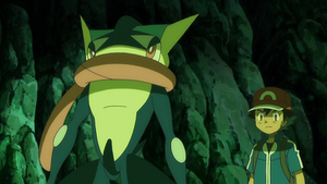 XY102 - Amphinobi de Sacha.png