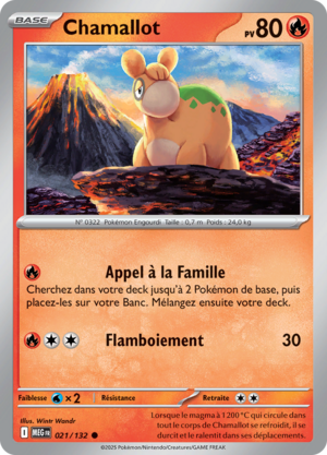 Carte Méga-Évolution 021.png