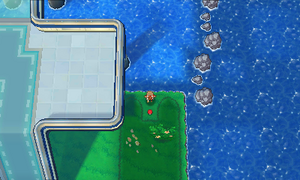 Route 110 Élixir ROSA.png