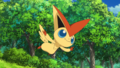 Victini (sauvage)