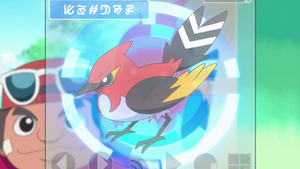 XY020 - Braisillon Pokédex.png