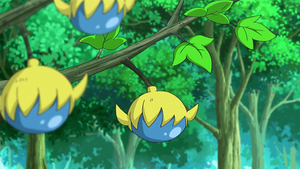 XY026 - Baie Pocpoc.png