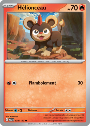 Carte Méga-Évolution 023.png