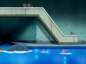 DP109 - Obalie.png