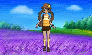 Vidéo Dresseur Silhouette Normale.png