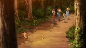 XY015 - Aspicot.png