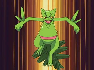 AG191 - Jungko de Sacha.png