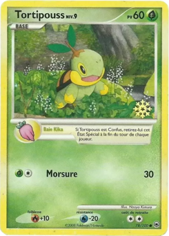 Tortipouss (Diamant & Perle Aube Majestueuse 78)