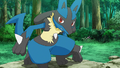 Lucario (de Sacha)