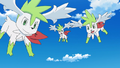 Shaymin (sauvages)