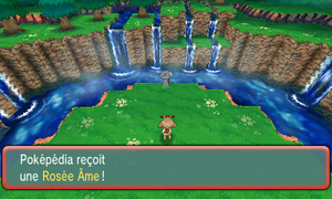 Île du Sud Rosée Âme ROSA.png