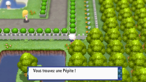 Aire de Détente Pépite 2 DEPS.png