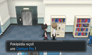 Dojo de Combat Ceinture Pro XY.png