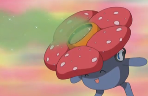 Rafflesia Aromathérapi.png