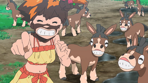 SL103 - Tiboudet de la ferme de Kiawe.png