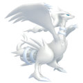 Reshiram