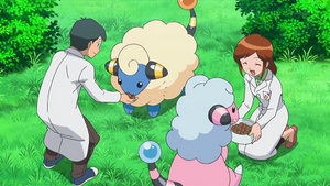 XY048 - Wattouat et Lainergie du laboratoire.png