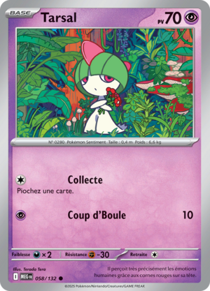 Carte Méga-Évolution 058.png