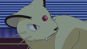 DP191 - Persian de Giovanni.png