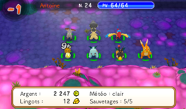 Une équipe composée de sept membres, le maximum dans Pokémon Méga Donjon Mystère