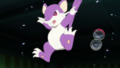 Rattata (sauvage ► de Red)