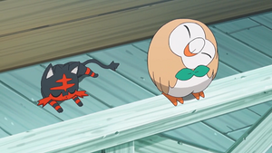 SL047 - Flamiaou et Brindibou de Sacha.png