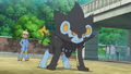 Luxray (de Lem)