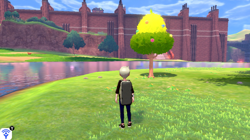 Fichier:Œil du Lac Arbre à Baies EB.png