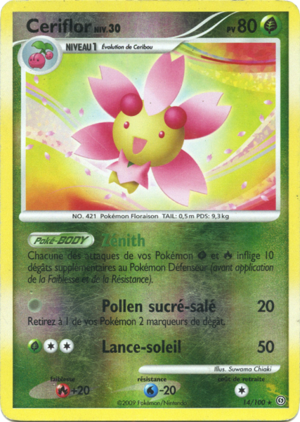 Fichier:Carte Diamant & Perle Tempête 14.png