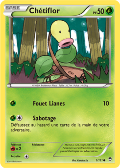 Chétiflor (XY Poings Furieux 1)