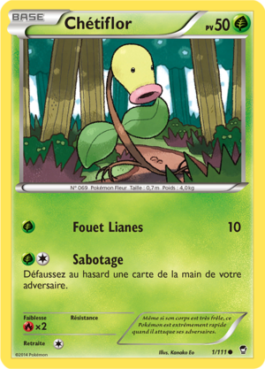 Carte XY Poings Furieux 1.png