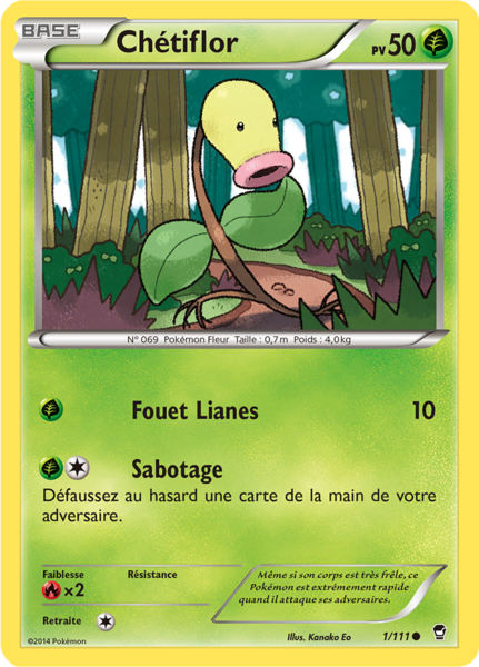 Fichier:Carte XY Poings Furieux 1.png