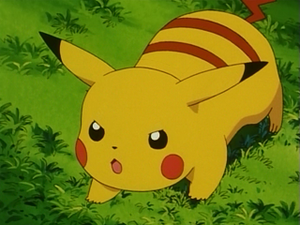 EP116 - Pikachu de Sacha.png